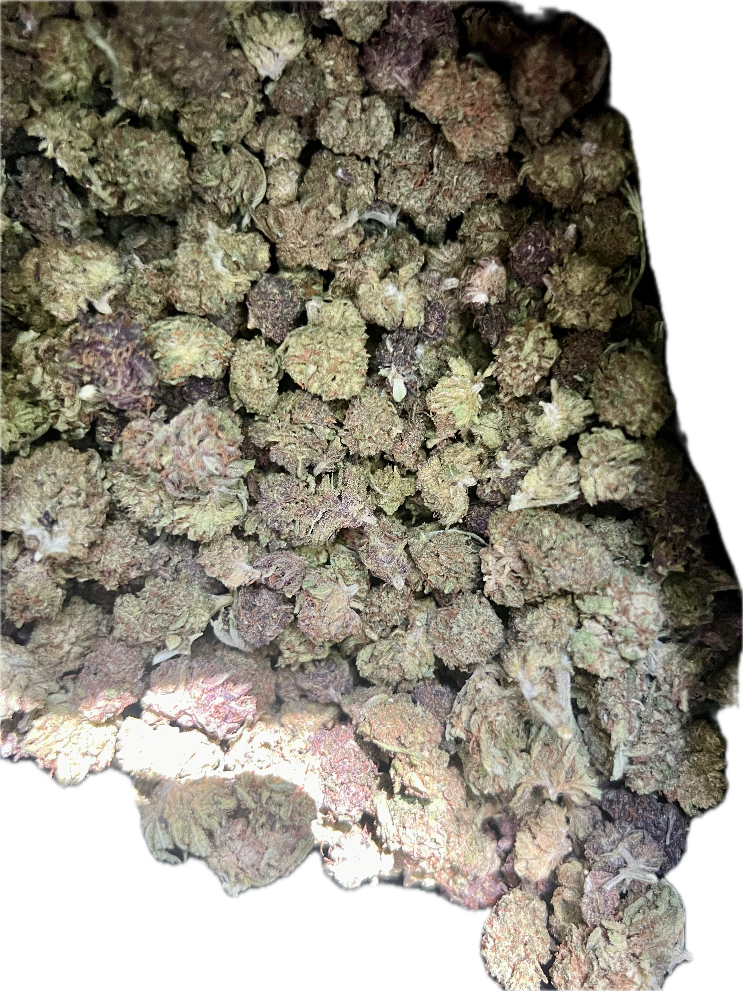 Ripkitty Legendary Kush CBD Hemp Flowers
