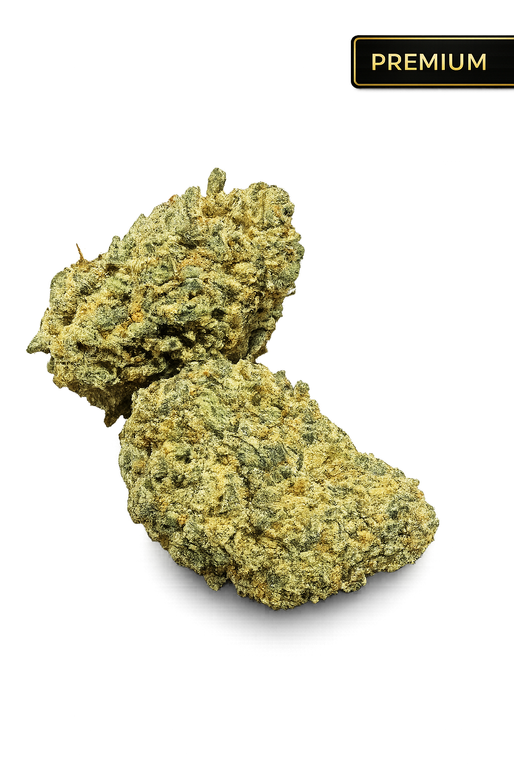 Ripkitty Cream Puff Flower